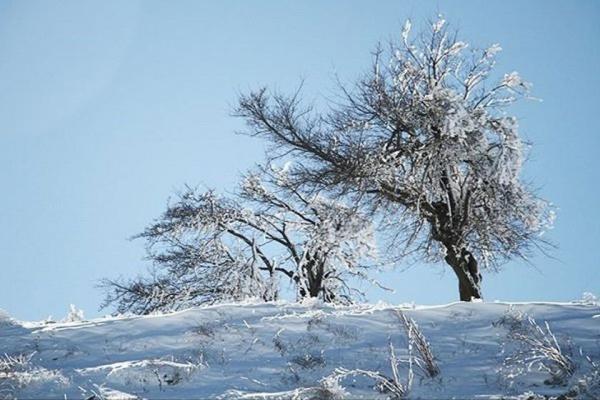 بارش برف در آذربایجان غربی و کندی تردد در بعضی محورها